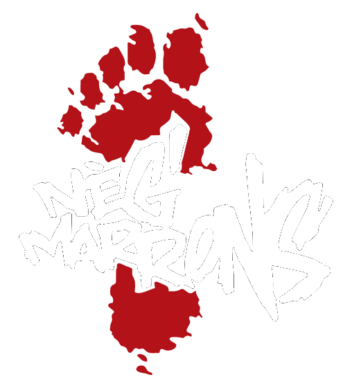 Logo Nèg’Marrons